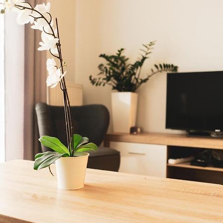 Przy Mocaku II Apartment คราคูฟ ภายนอก รูปภาพ